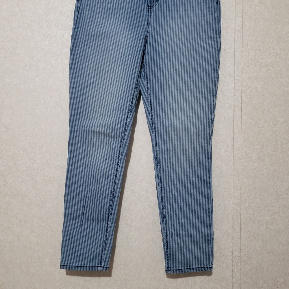 VINTAGE X AMERICA....Striped High rise  Blue Jeans...size:8/29 - Picture 3 of 11